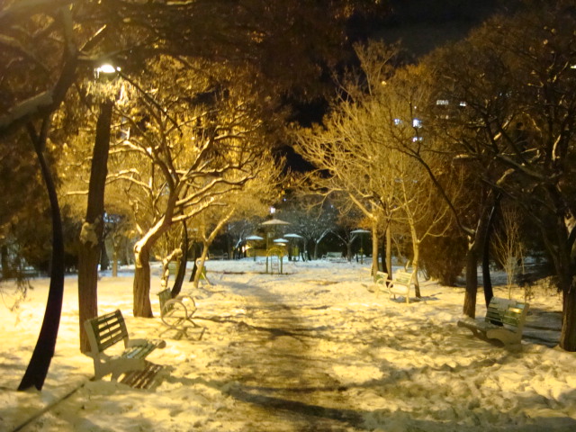 Zaferanieh Park - پارک زعفرانیه